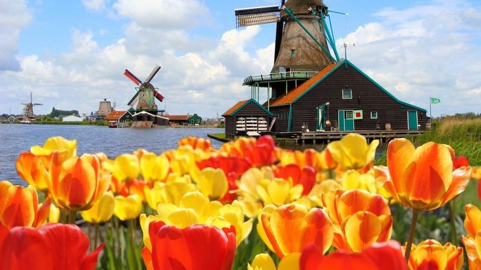 Hà Lan nổi tiếng với nhiều địa danh du lịch đẹp. - thủ tục xin visa Hà Lan