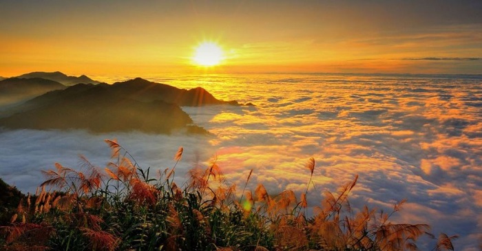 Khu du lịch núi Alishan, tour du lịch free & easy Đài Loan
