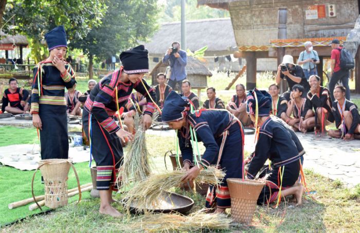 hoạt động lễ mừng lúa mới của người Jrai ở Tây Nguyên