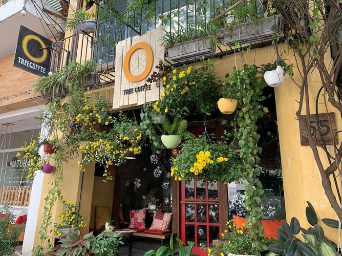 cafe sân vườn ở Hà Nội - Otree & Coffee