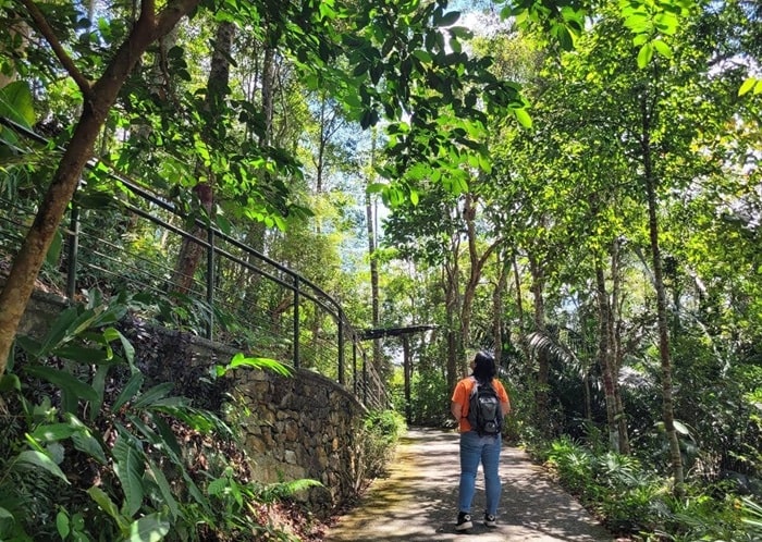 Khu rừng nhiệt đới tự nhiên - trải nghiệm ở The Habitat Penang Hill 