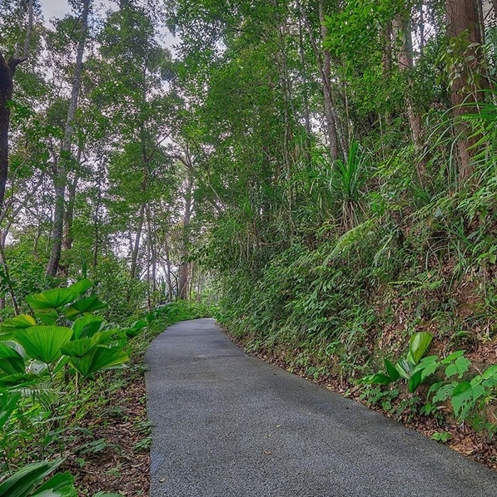 Con đường tự nhiên 1,6km - trải nghiệm ở The Habitat Penang Hill 
