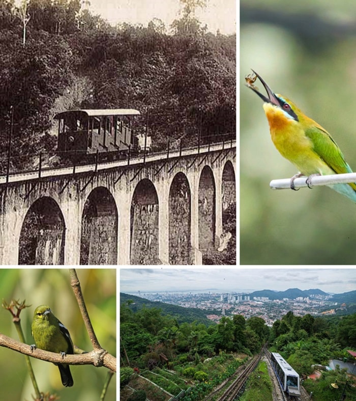 Lịch sử và thiên nhiên - trải nghiệm ở The Habitat Penang Hill