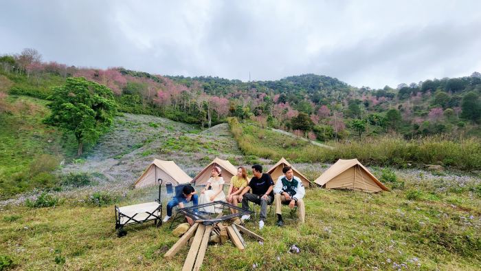 cắm trại khi du lịch Mộng Đào Nguyên