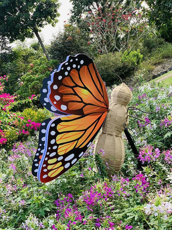 Chavi Garden Long An - Cánh bướm vờn xuân