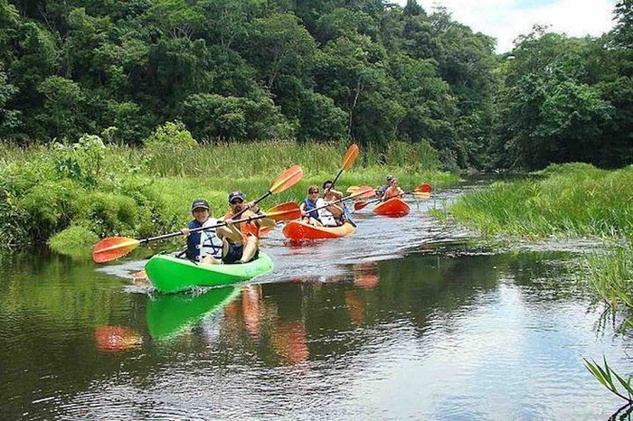 Chèo thuyền kayak là hoạt động không thể bỏ qua ở rừng nhiệt đới Gamboa Panama