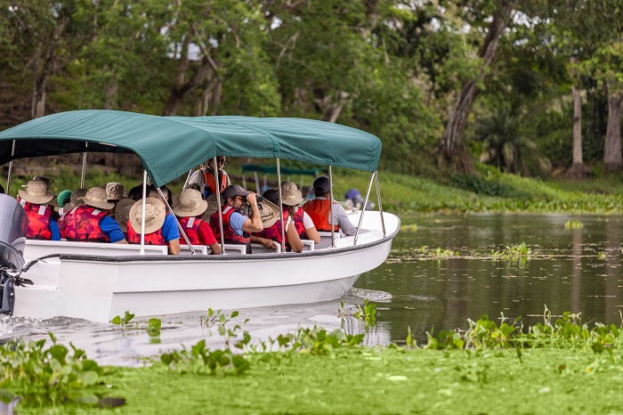 Tour du thuyền sông Chagres là hoạt động không thể bỏ qua ở rừng nhiệt đới Gamboa Panama