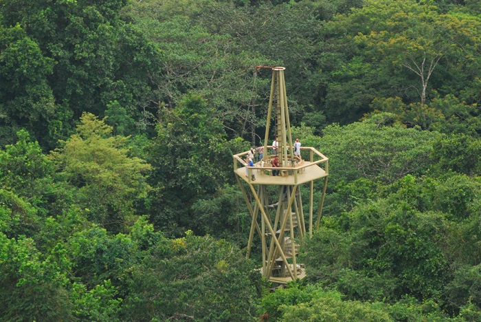 Trung tâm khám phá Rừng Nhiệt Đới Panama là địa điểm tham quan gần pháo đài San Lorenzo