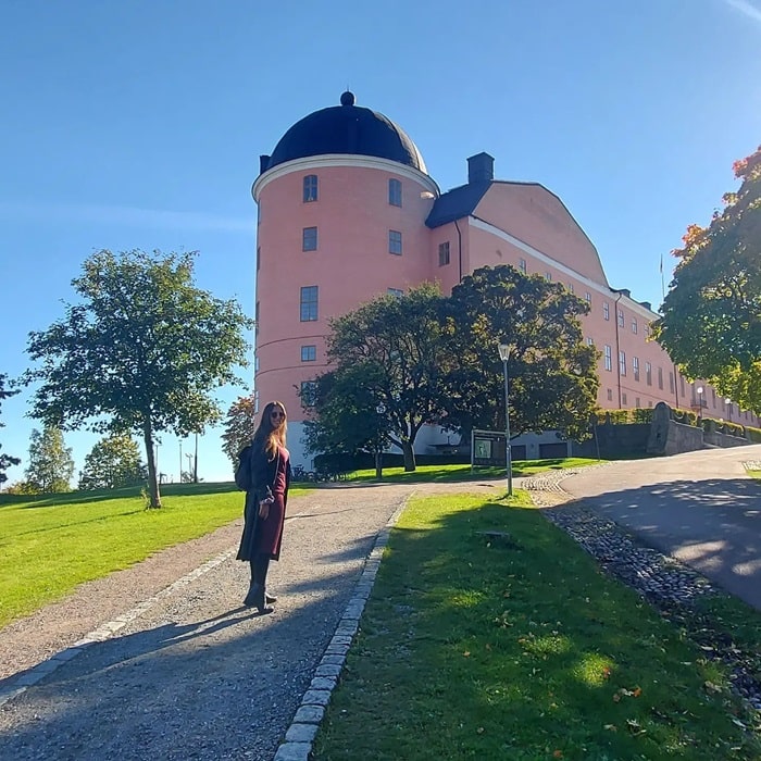 Xem lâu đài Uppsala lịch sử là địa điểm tham quan và hoạt động giải trí ở thị trấn Uppsala