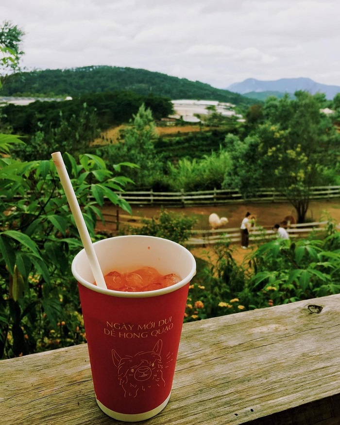 Chika Farm là quán cà phê nông trại ở Việt Nam mà bạn nên một lần check in