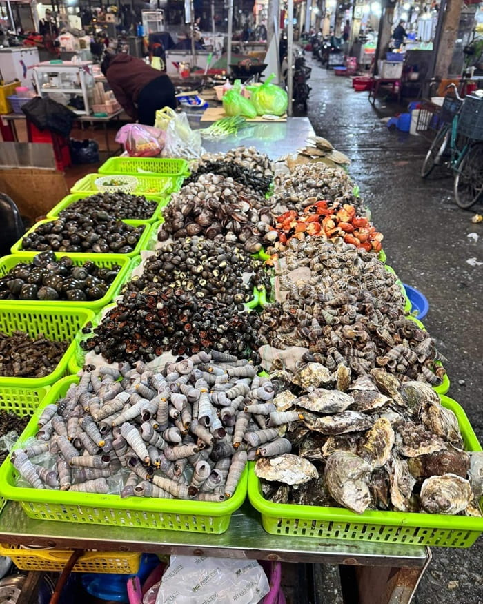chợ Cát Bi Hải Phòng - hải sản