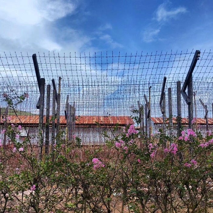 Nhà tù Phú Quốc là di tích nhà tù ở Việt Nam giam giữ nhiều tù nhân