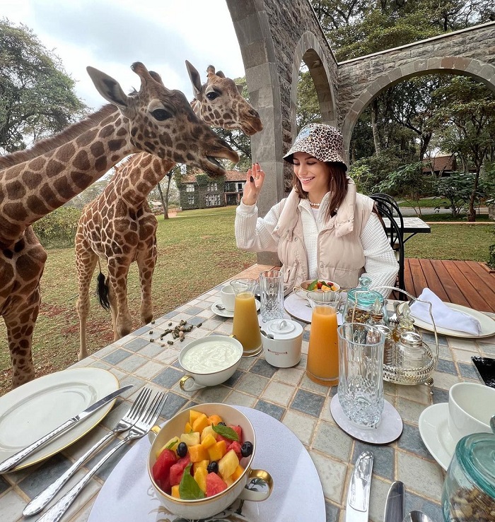 Giraffe Manor nhà hàng kỳ lạ trên thế giới rất hút khách