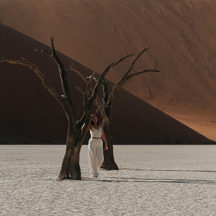 Deadvlei là một thung lũng chết đẹp nhất thế giới nằm ở Namibia 