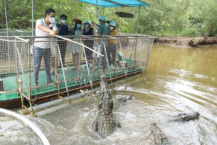 Trại cá sấu Long Xuyên - Trải nghiệm câu cá