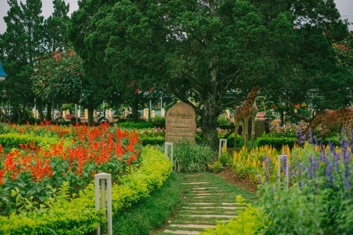 vẻ đẹp Vườn hoa thành phố Đà Lạt