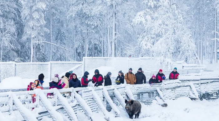 Công viên động vật hoang dã Ranua Phần Lan