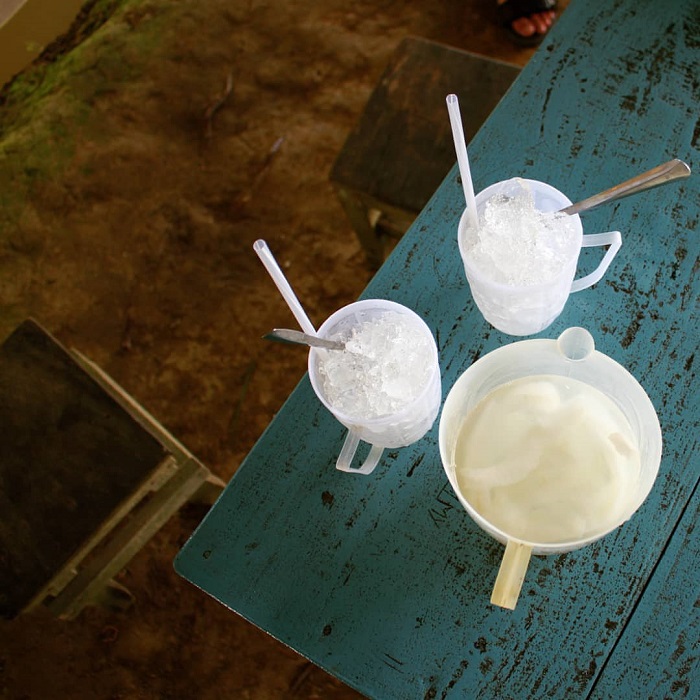Thưởng thức nước dừa ở vườn dừa Tân Lộc  