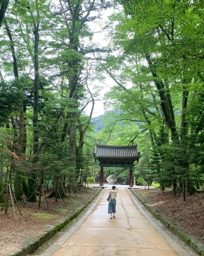 Khám phá chùa Haeinsa Hàn Quốc