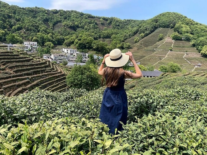 Khám phá làng trà Long Tỉnh Trung Quốc 