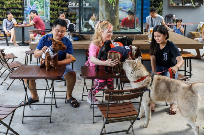 quán cafe thú cưng ở Sài Gòn - Pet Coffee Garden 