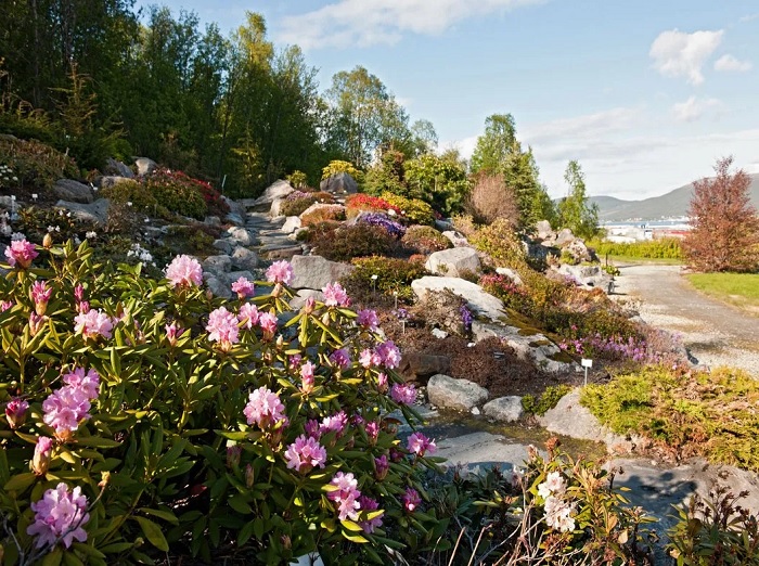 Vườn Bách thảo Tromso Arctic-Alpine - du lịch Tromso