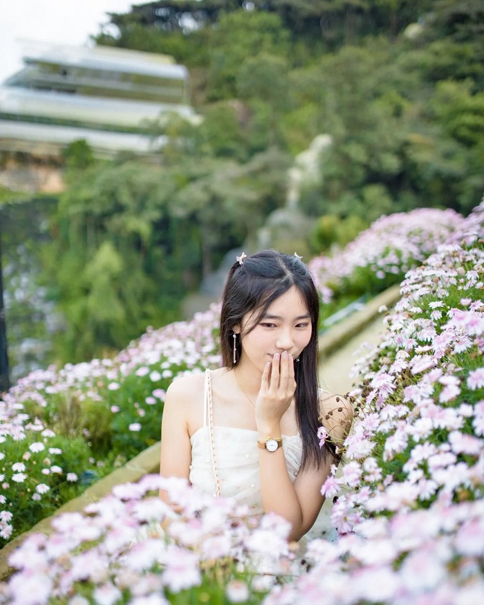 Cameron Flora Park là vườn hoa đẹp ở châu Á mang vẻ đẹp lãng mạn 