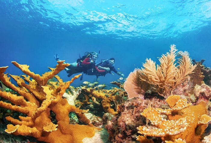 Công viên tiểu bang John Pennekamp Coral Reef