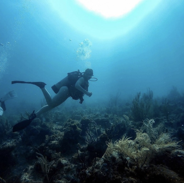 Lặn với ống thở Công viên tiểu bang John Pennekamp Coral Reef