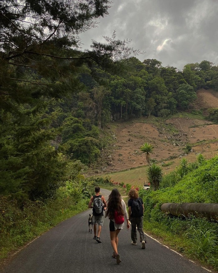 Đi bộ đường dài và ngắm chim là trải nghiệm thú vị ở thị trấn Boquete Panama