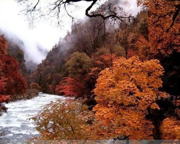Đi tour Trung Quốc mùa nào đẹp và lý tưởng nhất? Chắc chắn đừng bỏ lỡ mùa thu với sắc đỏ rực của cỏ cây