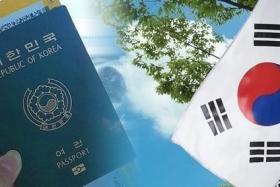 5 Thông tin cần biết khi xin visa công tác Hàn Quốc 