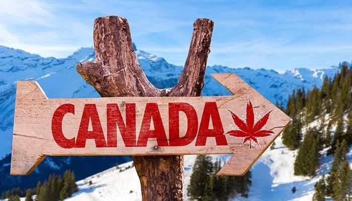 Cần tìm hiểu về các loại visa Canada trước khi đăng ký thủ tục xin cấp. - thủ tục làm visa đi Canada