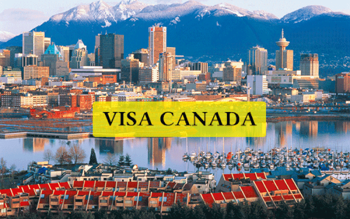 Có nhiều đơn vị hỗ trợ thủ tục xin cấp visa du lịch Canada. - xin visa du lịch Canada có khó không