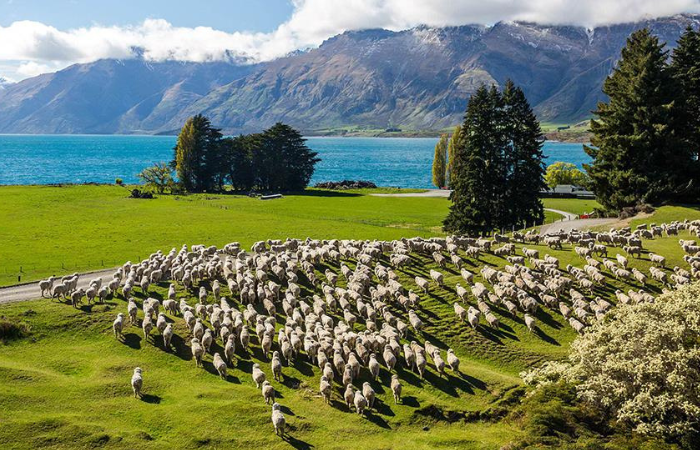 New Zealand có cảnh quan thiên nhiên lộng lẫy. - Xin visa New Zealand có khó không