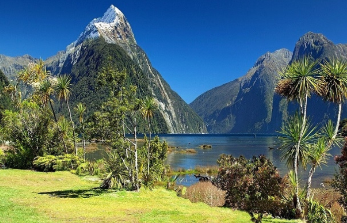 Cảnh quan thiên nhiên xinh đẹp tại New Zealand. - điều kiện xin visa du lịch New Zealand