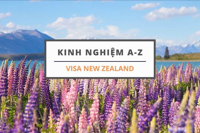 Chuẩn bị hồ sơ đầy đủ để thủ tục xin visa du lịch New Zealand hoàn tất.  - kinh nghiệm xin visa du lịch New Zealand