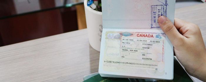 So với cách xin visa truyền thống thì tỷ lệ đậu visa online thấp hơn. - cách làm visa Canada online