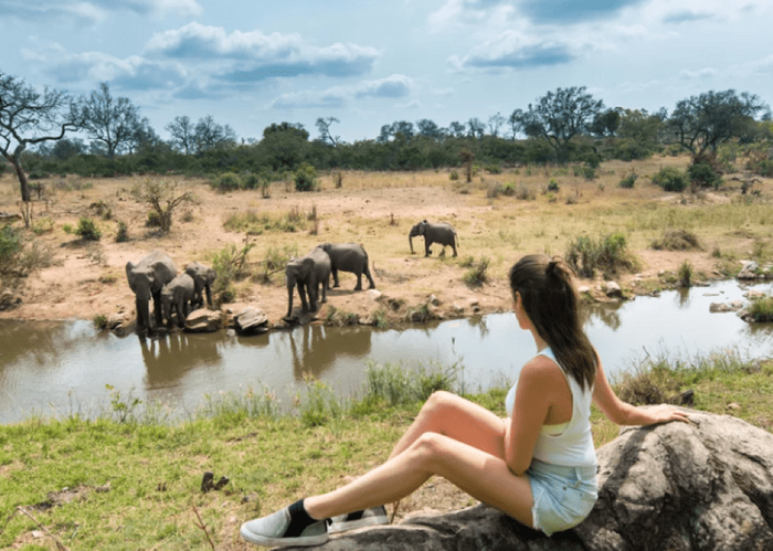 Vẻ đẹp bình dị và hoang dã của Nam Phi thu hút du khách  - Thủ tục xin visa Nam Phi