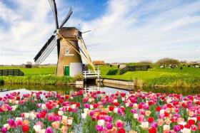 Các điều kiện xin visa du lịch Hà Lan 2022
