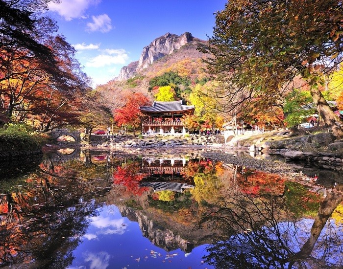 Đi tour du lịch Free & Easy Hàn Quốc khám phá chùa Baekyangsa