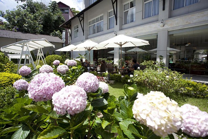 Khách sạn 4 sao ở Đà Lạt - Khuôn viên có hoa tú cầu nở rộ
