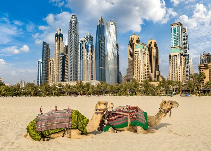 Sa mạc ngay giữa thành phố Dubai -du lịch Dubai giá rẻ