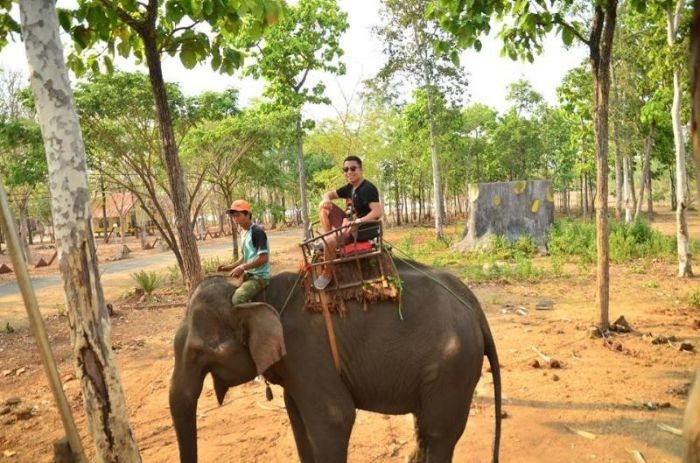 Trải nghiệm lắc lư cưỡi voi Bản Đôn. - du lịch Tây Nguyên giá rẻ