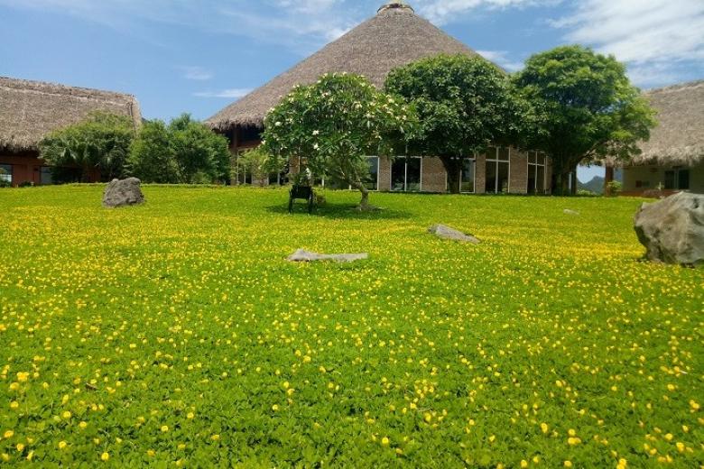 Cúc Phương Resort