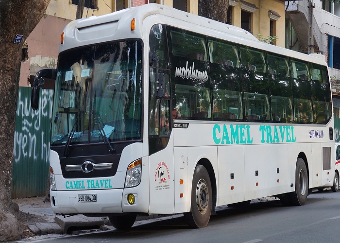 Cameltravel