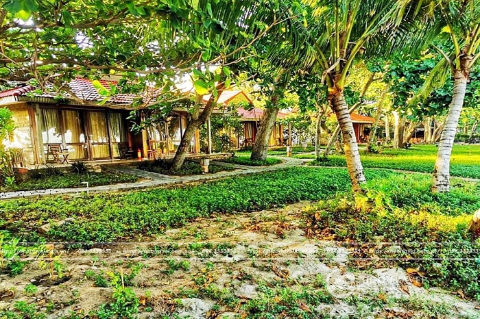 Combo 3N2Đ nghỉ dưỡng Tân Sơn Nhất Côn Đảo Resort 