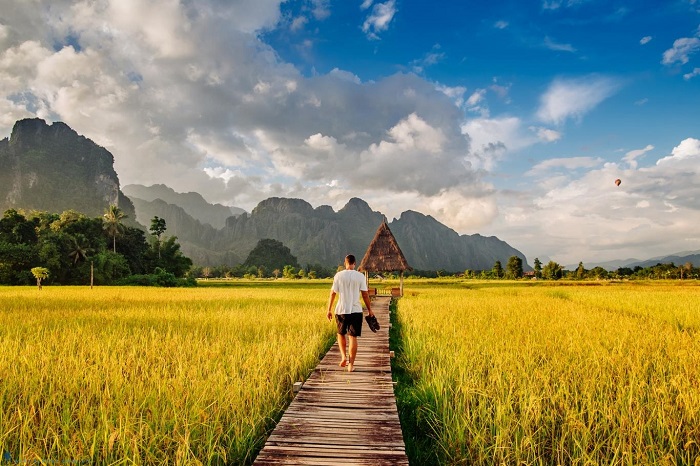 cánh đồng trong Tour du lịch free & easy Lào 