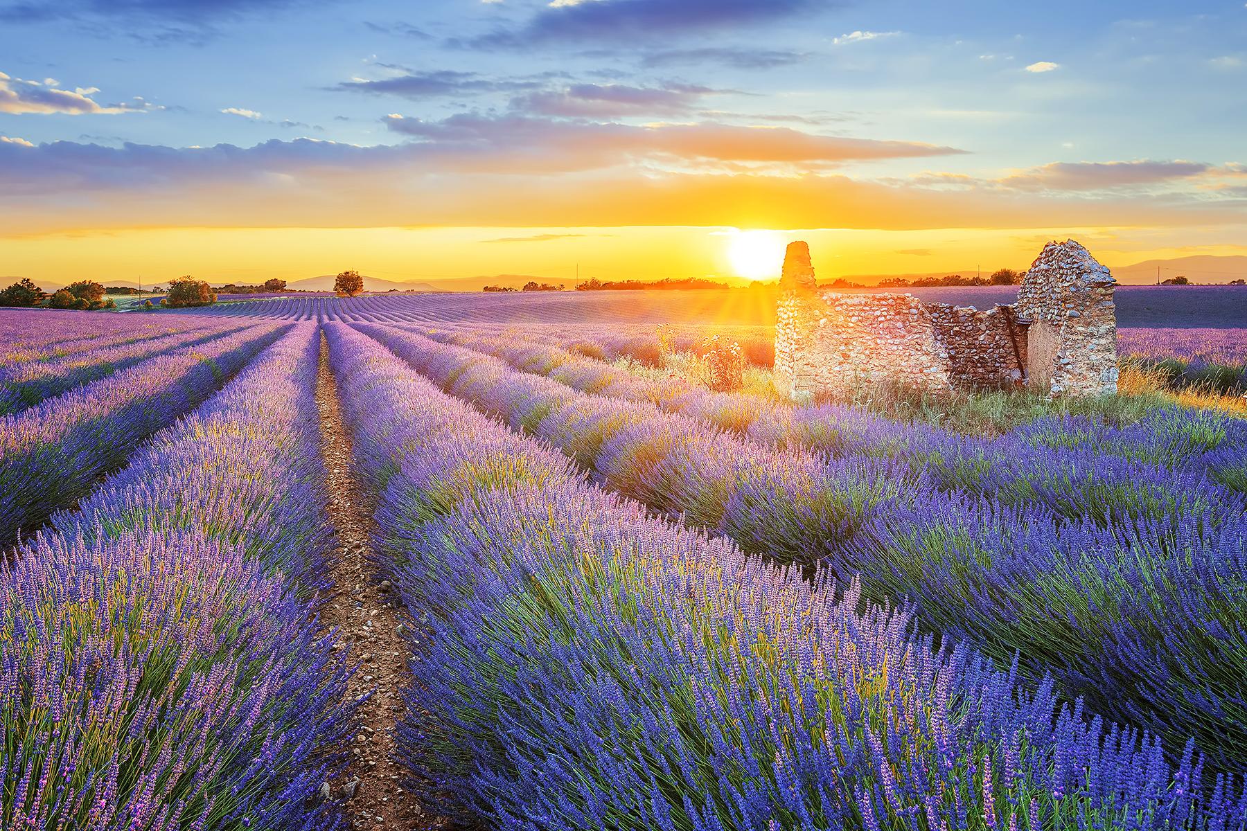 Vùng Provence