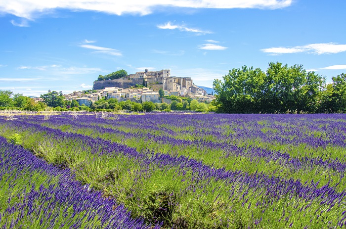 Vùng Provence thơ mộng của nước Pháp